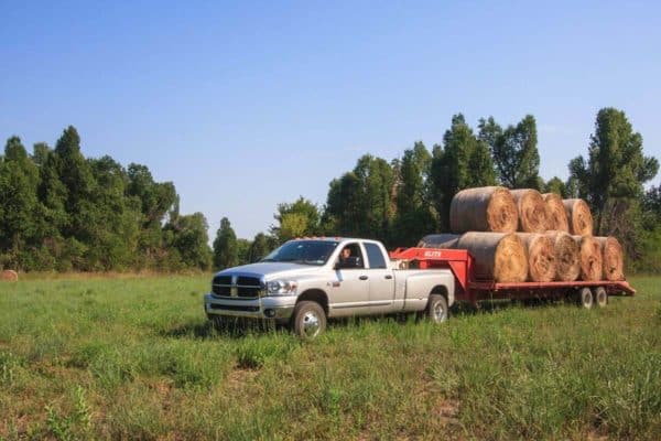 silver Dodge Ram truck hauling bales of hay