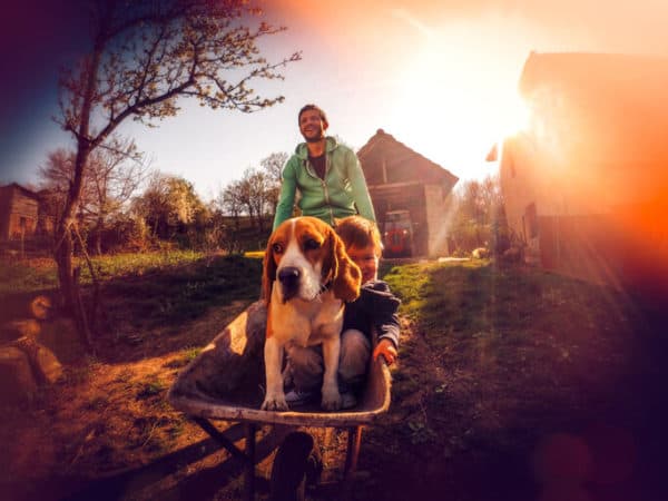man pushing his young son and beagle in a wheelbarrow