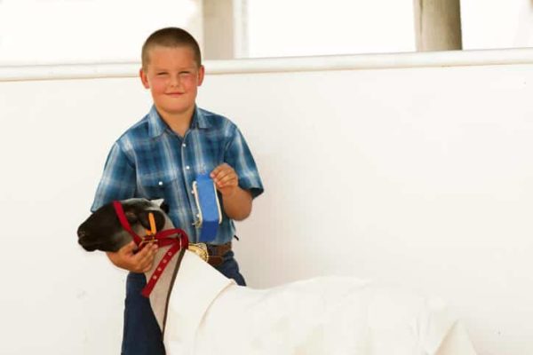 young FFA student smiling with his prized goat and ribbon
